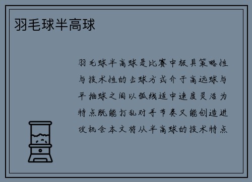 羽毛球半高球